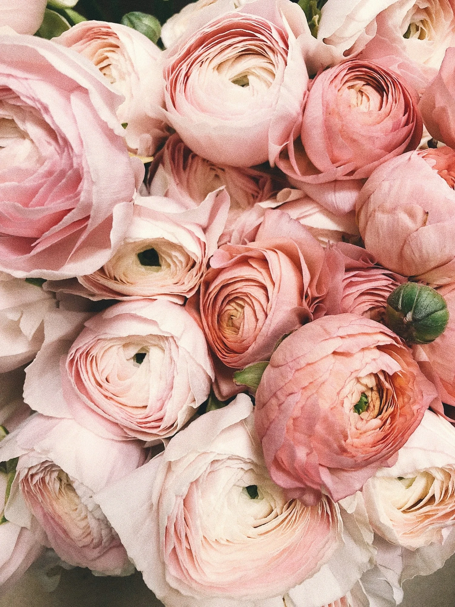 Blush wedding florals